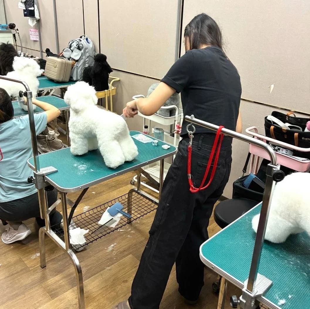 寵樂學苑美容研習現場
