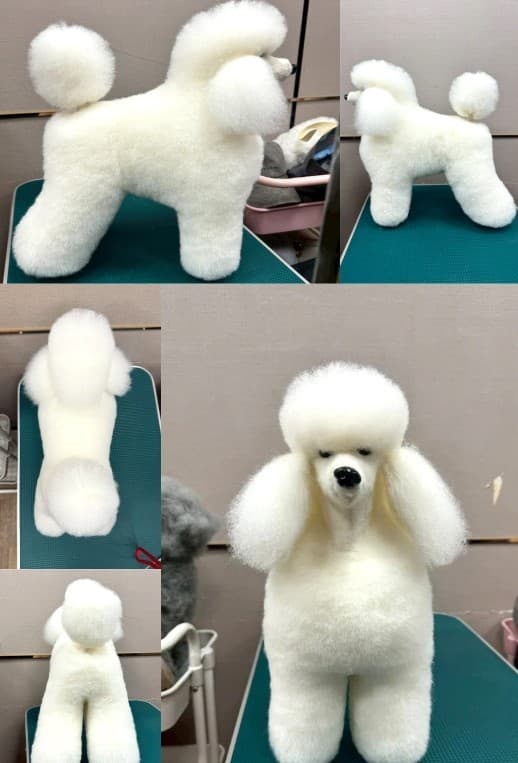 學員手持剪刀修剪特寫