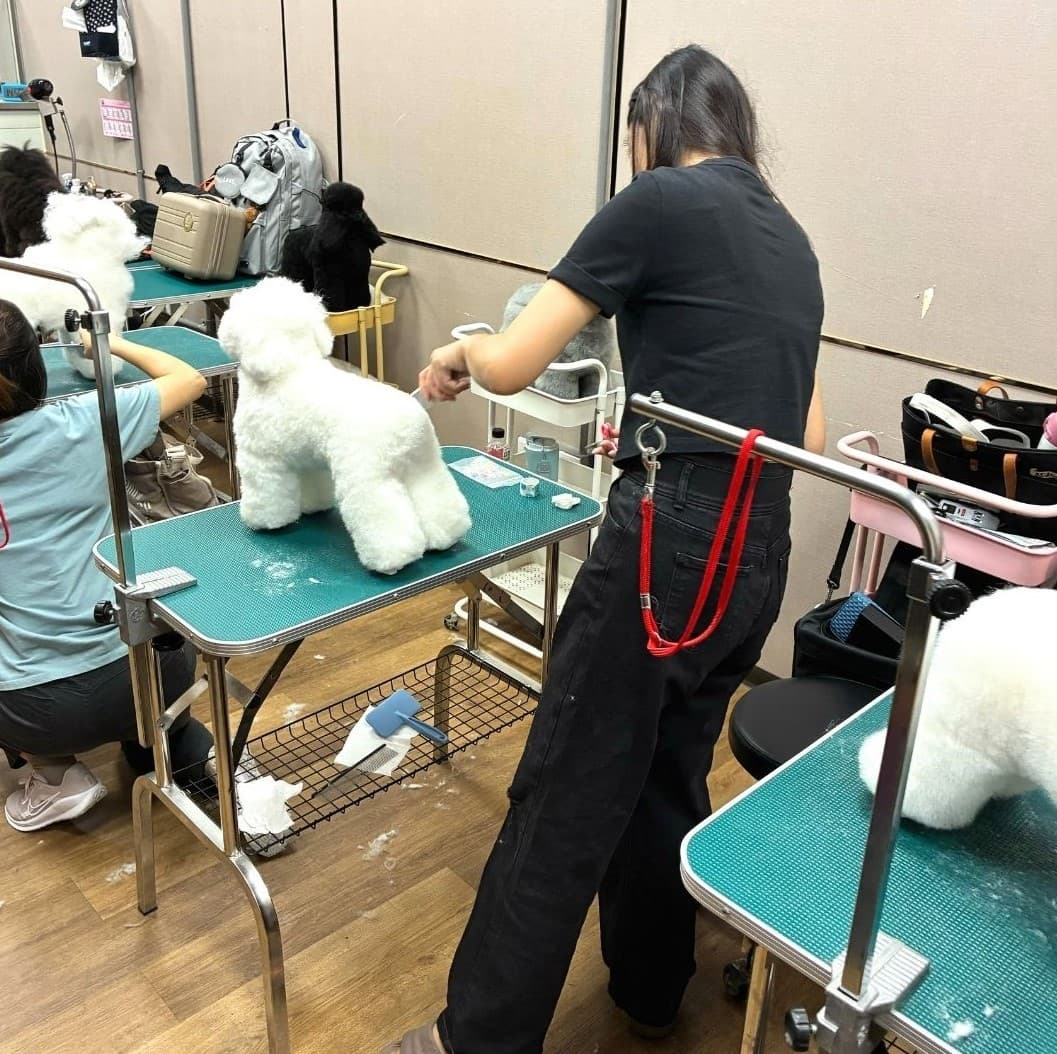 學員實作練習模特犬