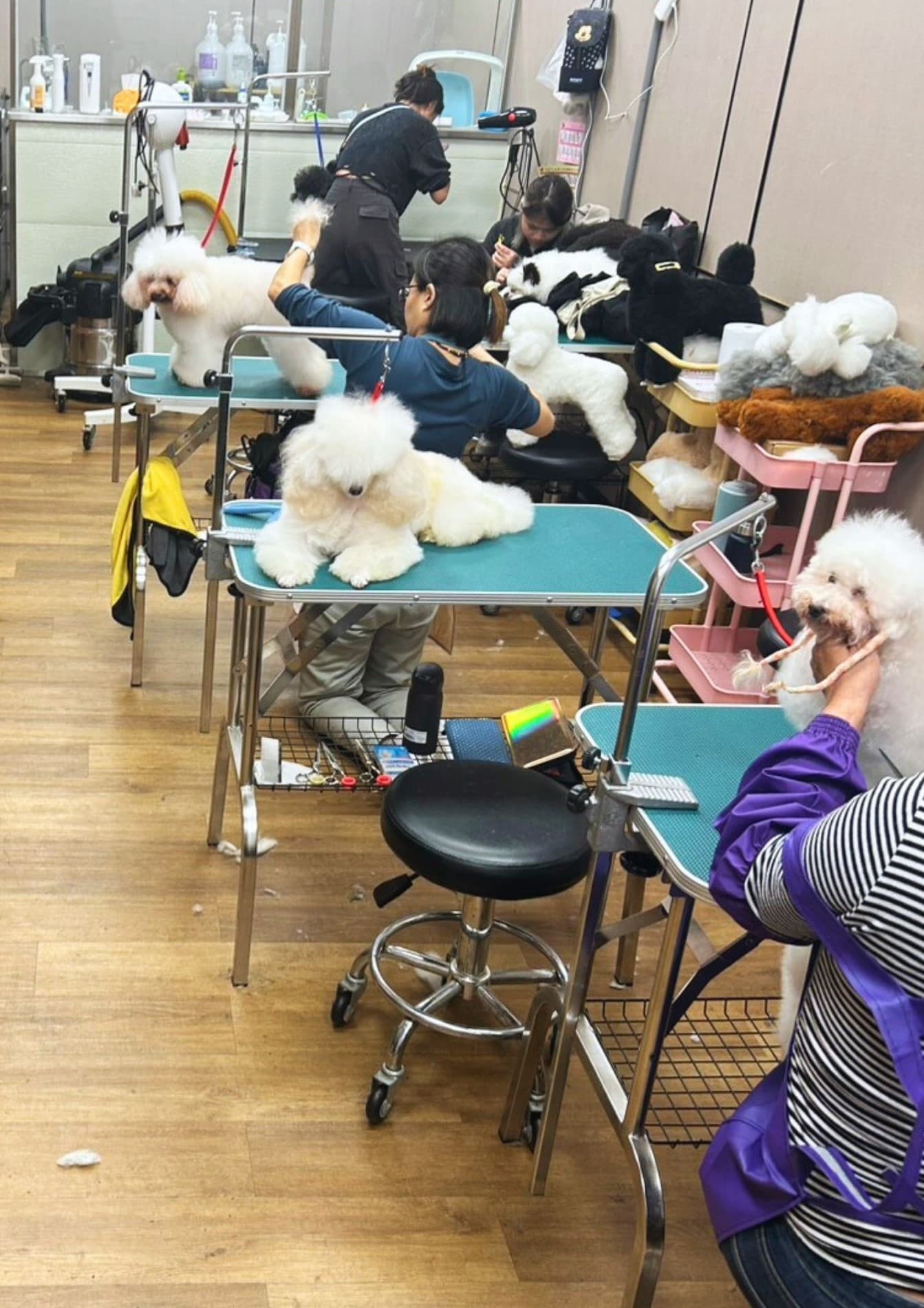 老師指導學員實作細節