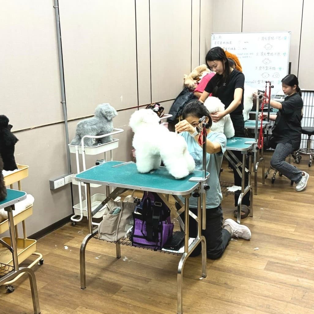 學苑小班制教學現場廣角