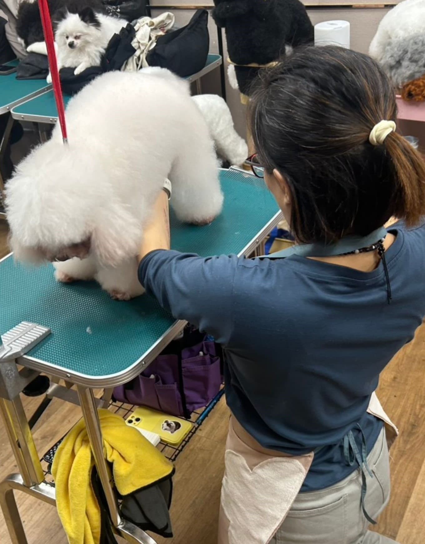 整排學員同步實作練習