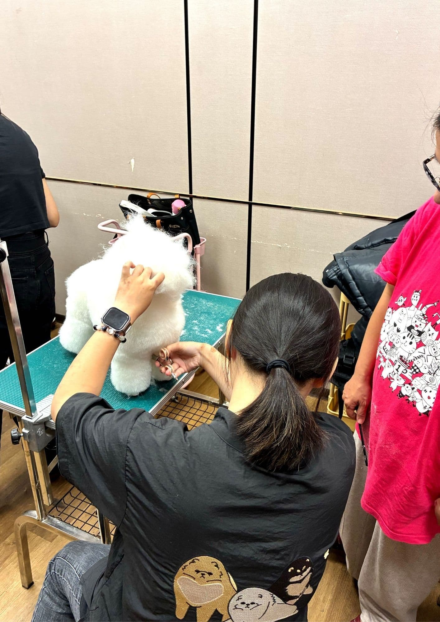 學員完成的白貴賓造型成果