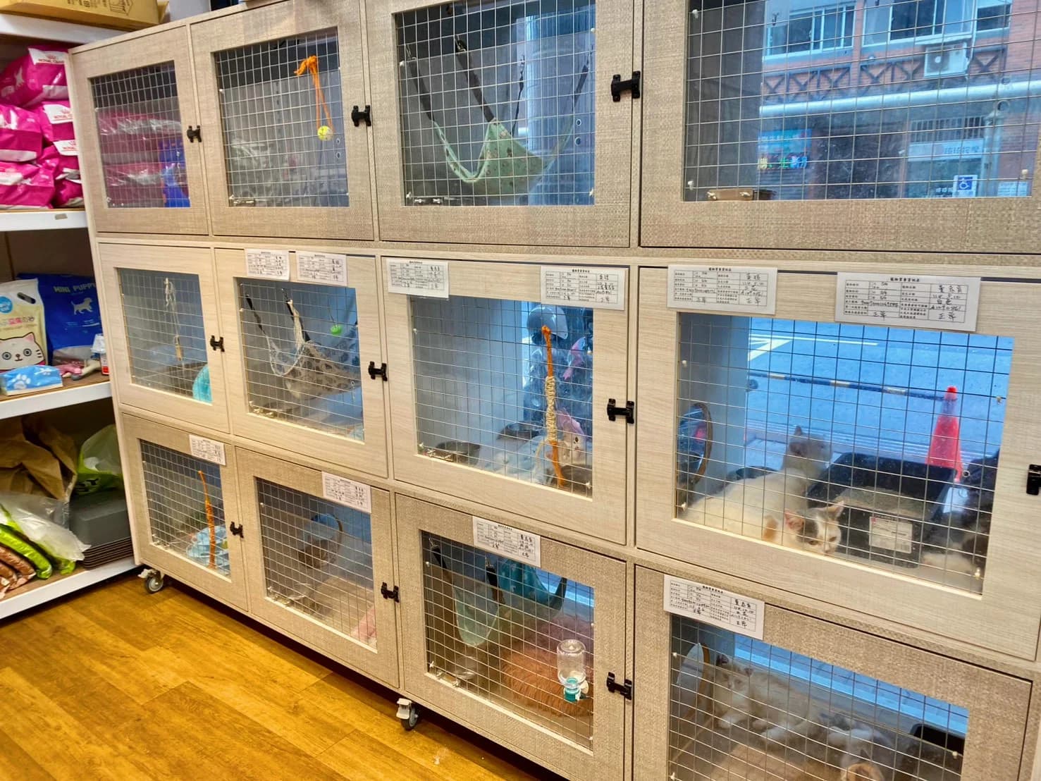 獨立貓舍展示空間